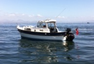 Hardy Pilot 20 (1999)